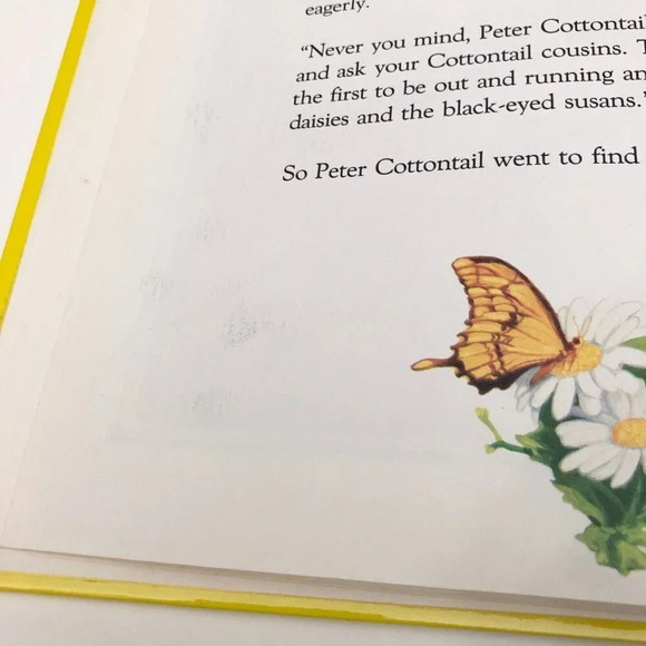 Vtg Peter Cottontails Surprise Greg Hildebrandt Book - Picture 16 of 16